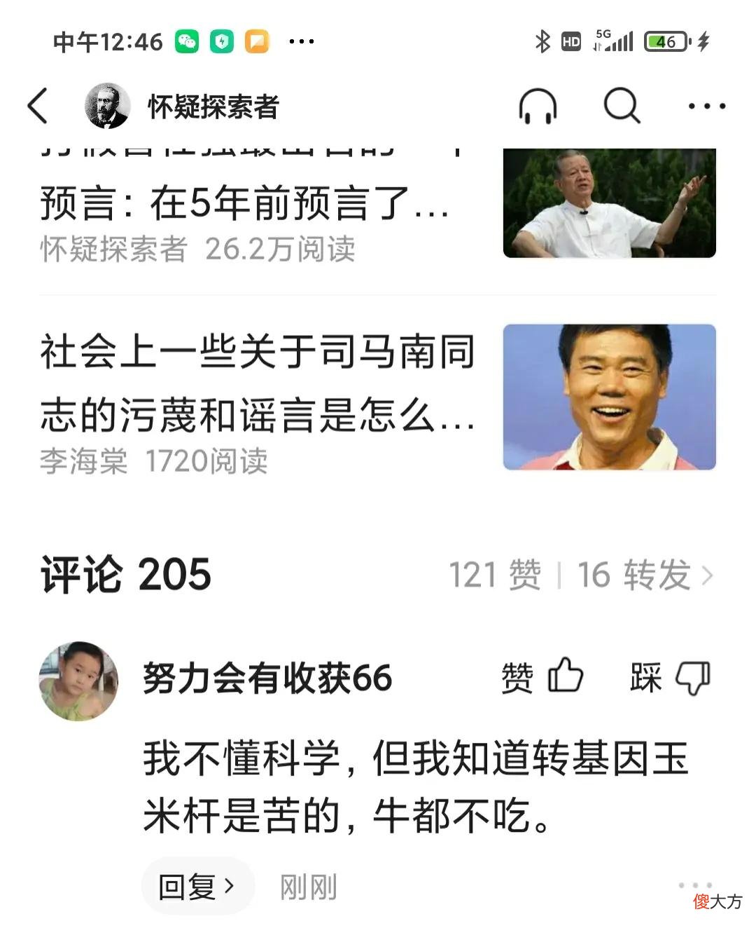 牛不爱吃转基因玉米 牛为什么不吃玉米