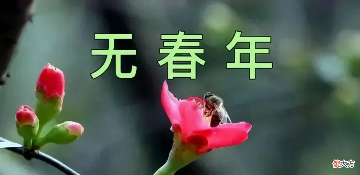 为什么不能闰八月 为什么没有闰八月