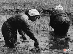 【爱历史】41年前，扬州农妇捡到一块“金疙瘩”，却为何令日本人无比惊喜？