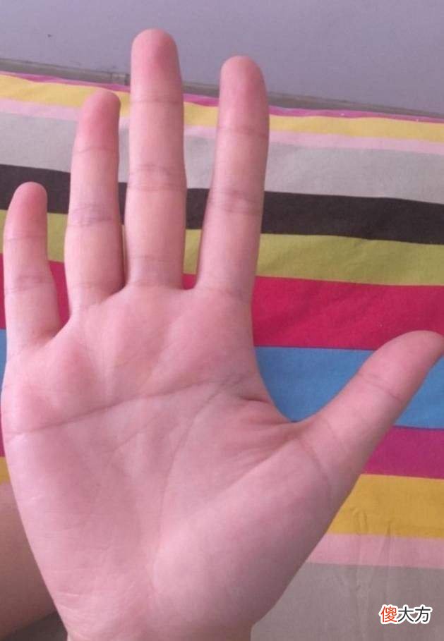 断掌手相算命图解