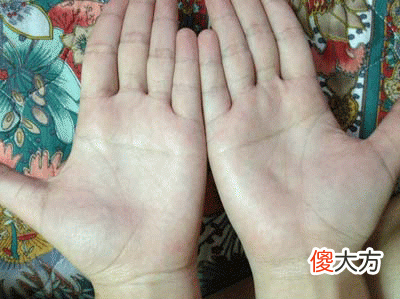断掌手相算命图解