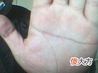 断掌手相算命图解
