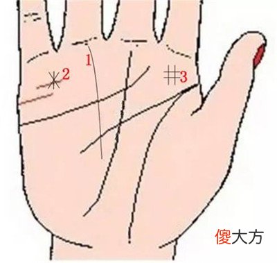 9种手纹的女人命好图 象征财富的9种手纹