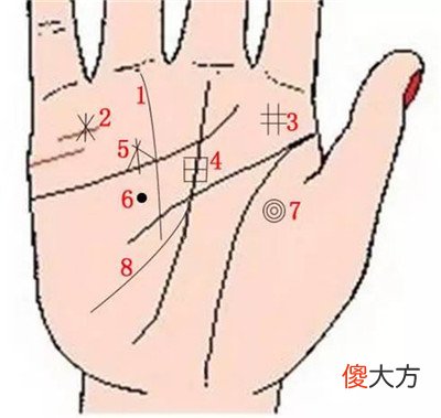 9种手纹的女人命好图 象征财富的9种手纹