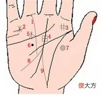 9种手纹的女人命好图 象征财富的9种手纹