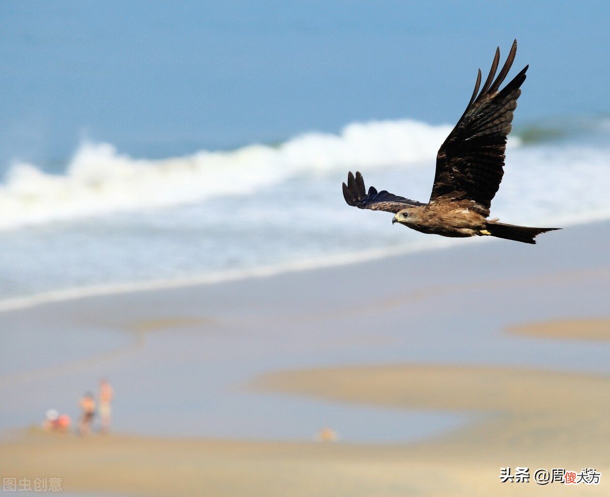 梦的起因和意义 梦的成因是什么