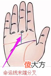 手相命运线全解