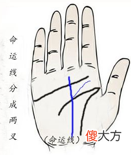 手相命运线全解