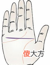 手相智慧线全解