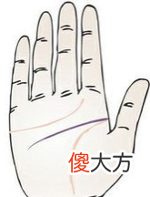 手相智慧线全解