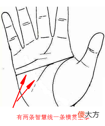手相智慧线全解