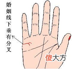 手相婚姻线全解