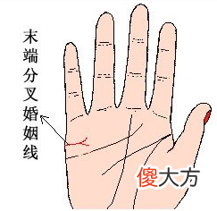 手相婚姻线全解