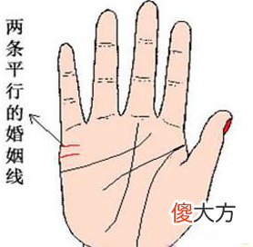 手相婚姻线全解