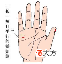 手相婚姻线全解