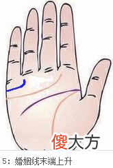 手相婚姻线全解
