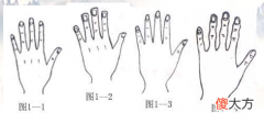 四种手形