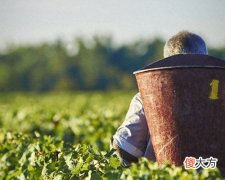 法国葡萄酒如何辨别档次 进口葡萄酒和国产葡萄酒怎么区分