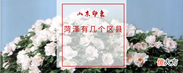 菏泽有几个区县 菏泽地区有几个区县