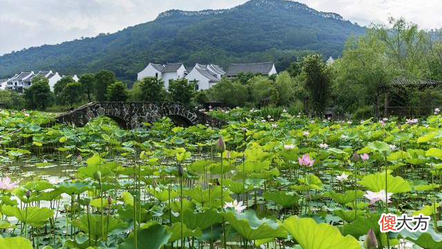 菏泽有几个区县 菏泽地区有几个区县