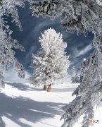 我给孩子买手机的前因后果 到底要不要给孩子买手机