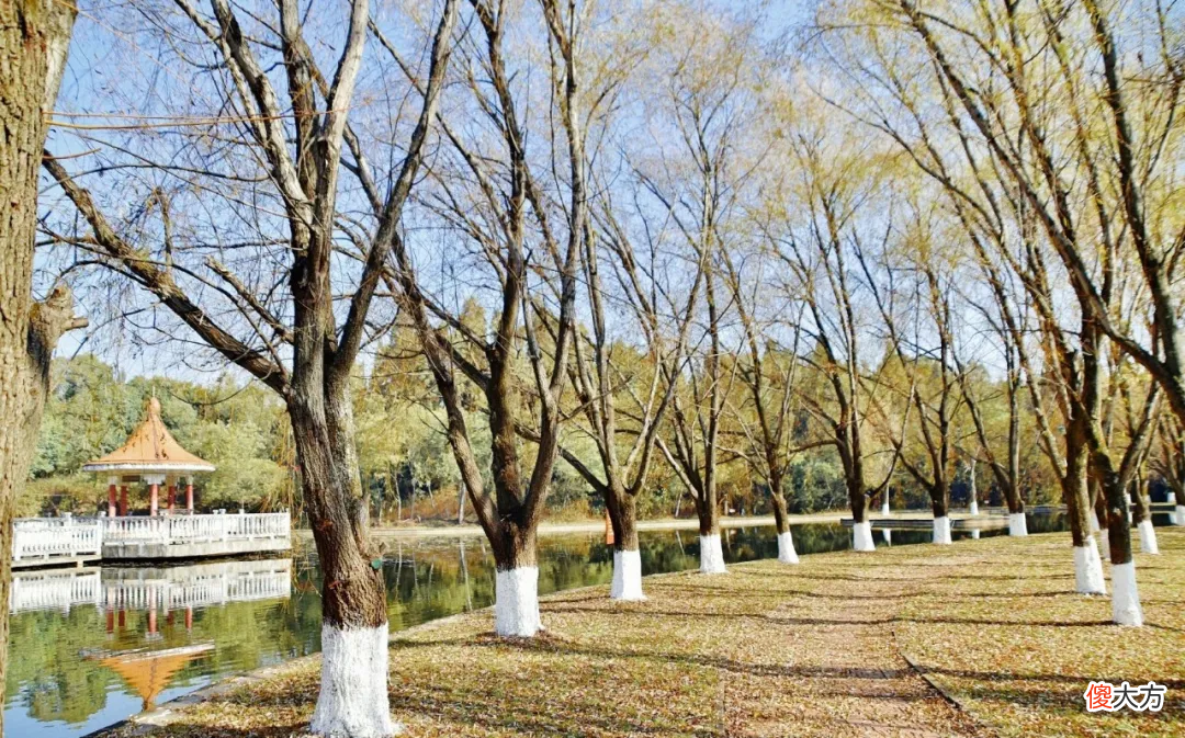 都在找昆明周边的爱国主义教育基地在哪里 昆明有哪些爱国教育基地