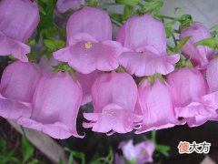 血型能决定我们的性格吗 血型能决定人的性格吗