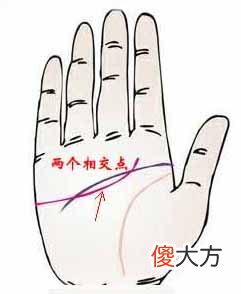 智慧线和感情线相交