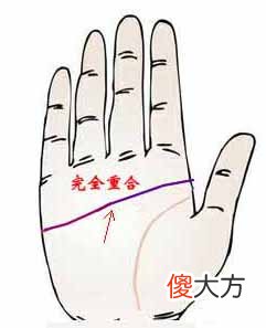 智慧线和感情线相交
