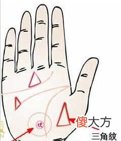 智慧线上有三角纹