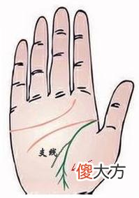 生命线末端分叉