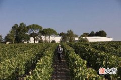 进口酒从哪里批发购买 酒的货源在哪里找