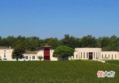 葡萄酒晕瓶静置几天 葡萄酒晕瓶后需要静放多久