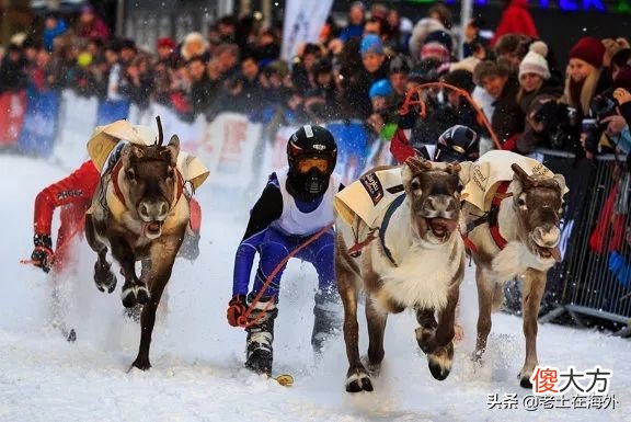 真实的挪威国现状 挪威那个国家的情况