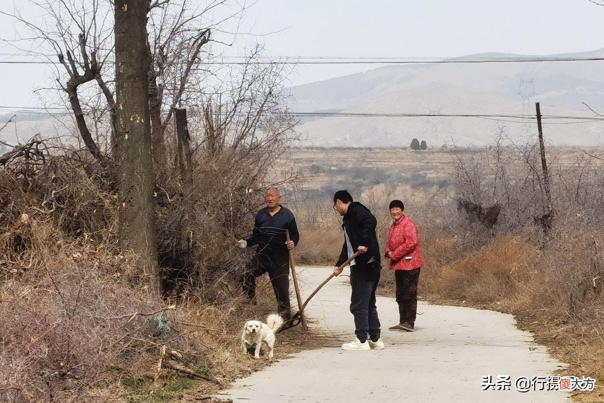 种1亩苹果养2只羊 果园养羊一亩地多少只