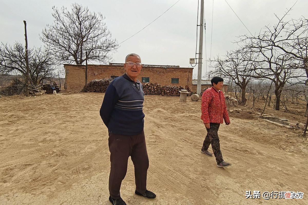 种1亩苹果养2只羊 果园养羊一亩地多少只