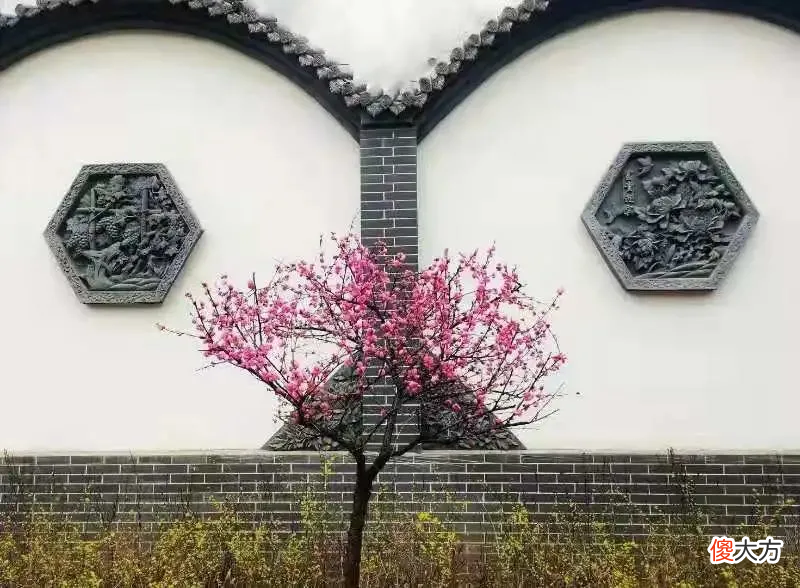 手机拍的照片不好看 为什么手机拍的照片那么丑
