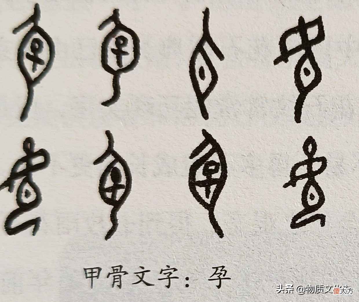 这些甲骨文字你认识吗 一些甲骨文字