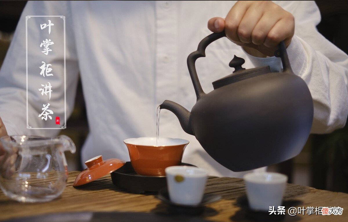 普洱茶是什么茶 普洱茶是什么茶类