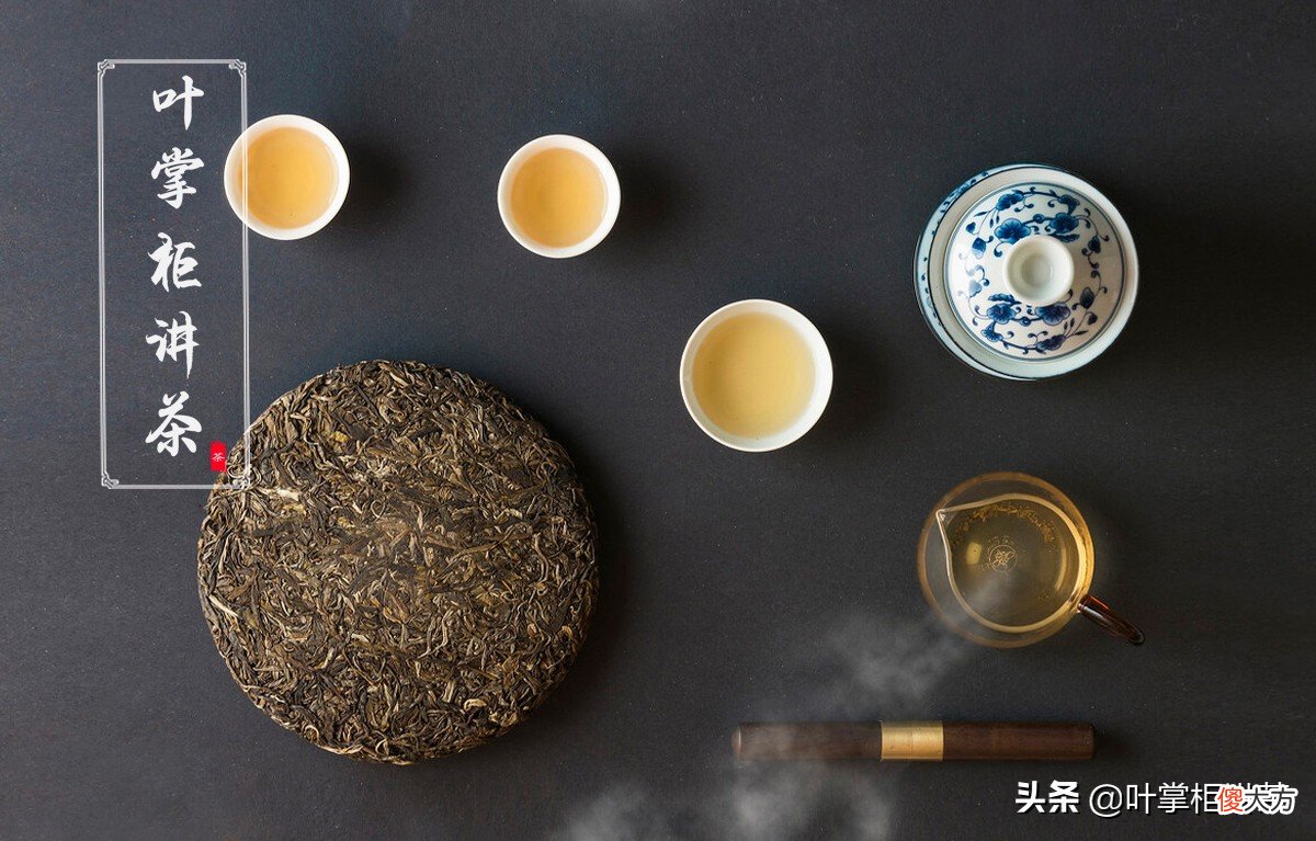 普洱茶是什么茶 普洱茶是什么茶类