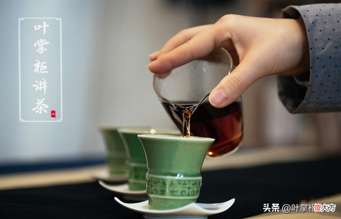 普洱茶是什么茶 普洱茶是什么茶类