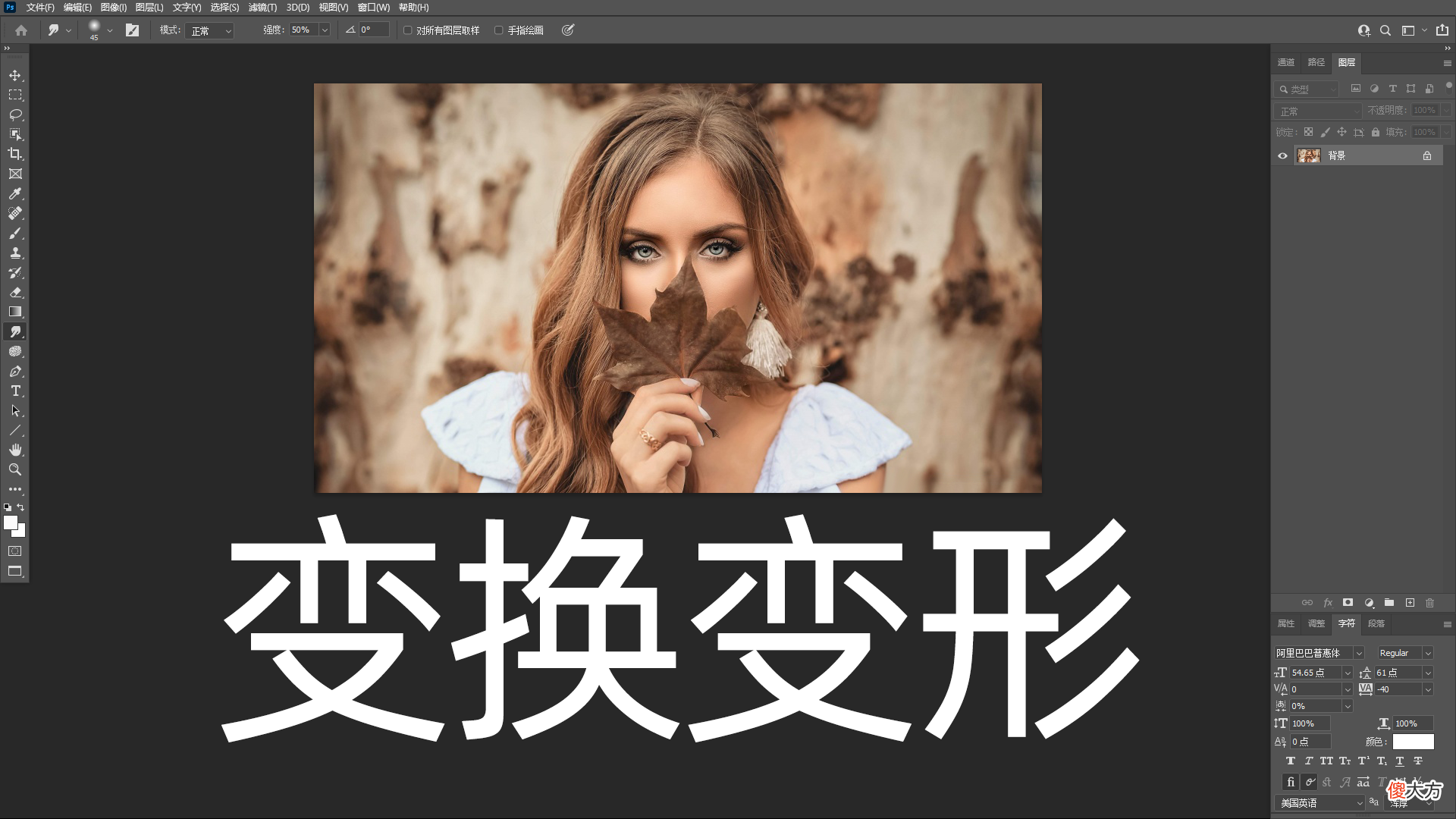 图层和组的变换变形 图层变换和自由变换