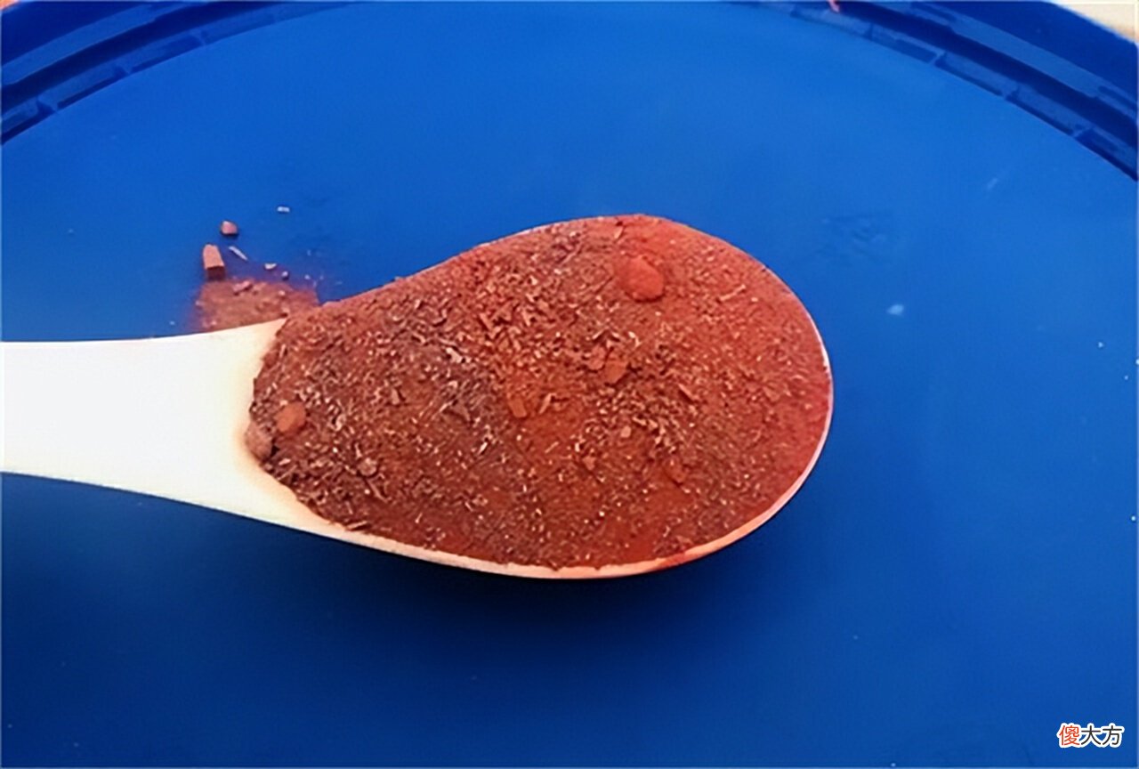 【爱历史】1965年江苏现琅琊王氏人墓，出土900枚“仙丹”，化验后令人唏嘘