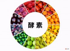 你真的认识酵素吗 你知道酵素吗