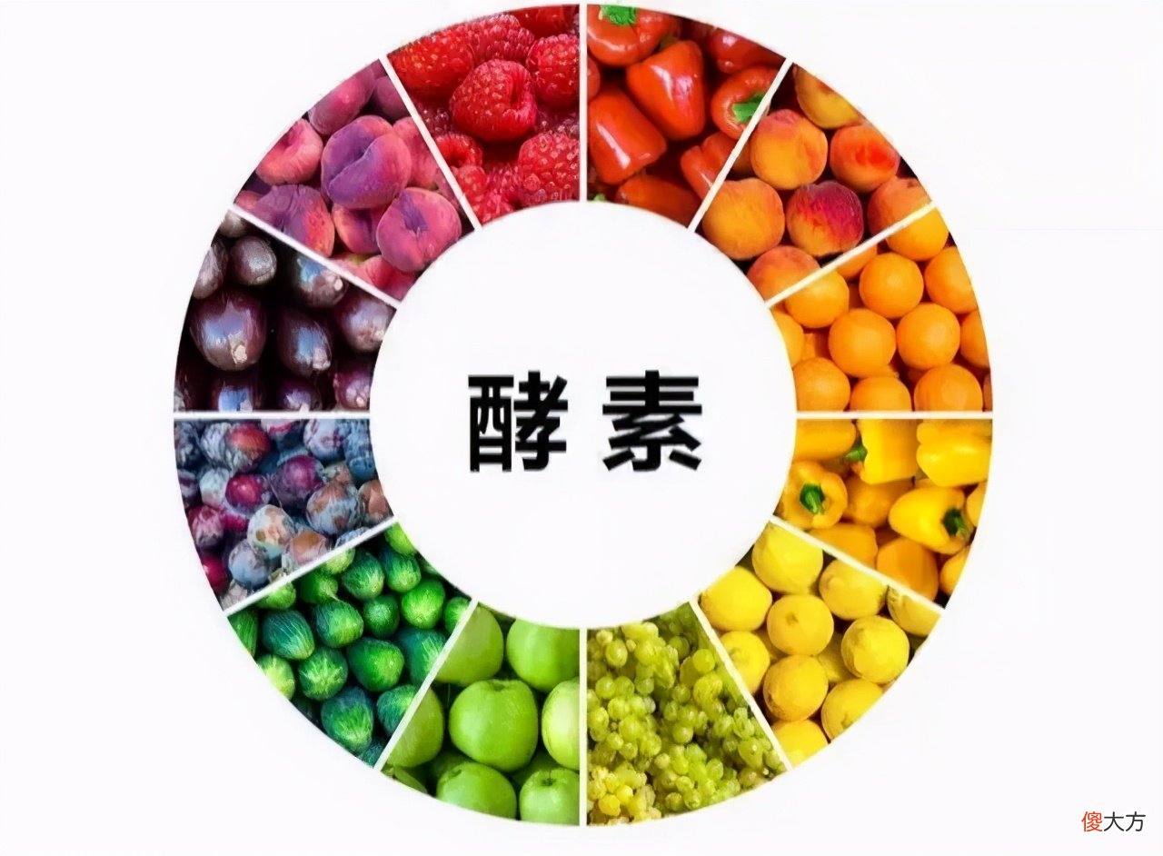 你真的认识酵素吗 你知道酵素吗