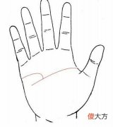感情线和智慧线相交