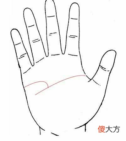 感情线和智慧线相交