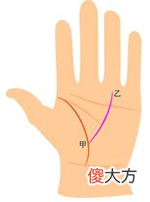 女人生命线图解