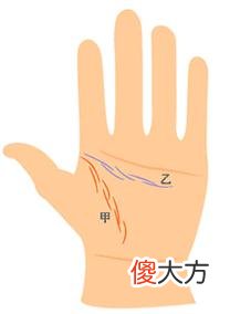 女人生命线图解