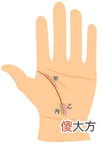 女人生命线图解